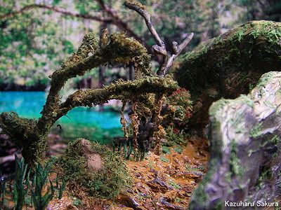トミカ・ハイラックス、マジョレット・FJクルーザーに似合うジャングルのジオラマ完成画像～美しい湖が見える風景